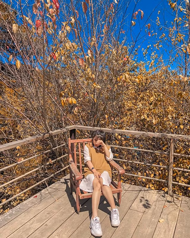 Chang can vi vu tan troi Au, Da Lat la “thien duong song ao” mua la do