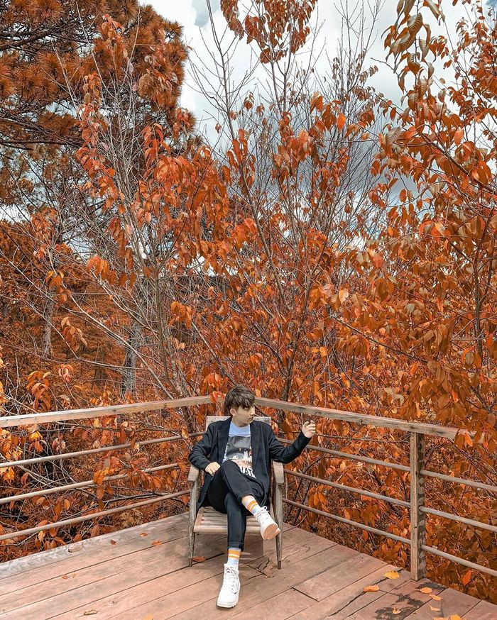 Khu du lịch Lá Phong Đà Lạt cũng là nơi thu hút khách du lịch với tổng diện tích gần 5 hecta. Nơi đây trồng trên 2000 cây lá phong và hàng chục nghìn loại cây khác.