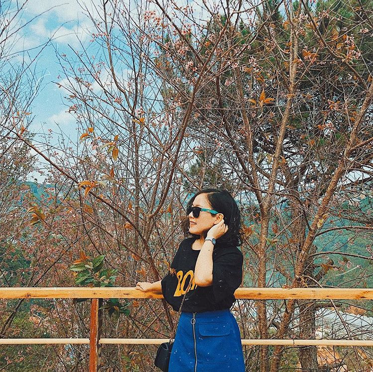 Ngoài ra, tại Vườn quốc gia Bidoup - Núi Bà, cách thành phố Đà Lạt khoảng 50km cũng có một quần thể cây phong lá đỏ khác cũng đẹp và lên ảnh ảo không kém. Ảnh: Instagram