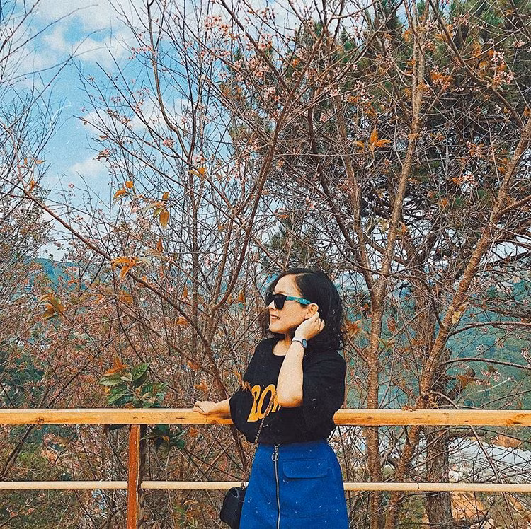 Ngoài ra, tại Vườn quốc gia Bidoup - Núi Bà, cách thành phố Đà Lạt khoảng 50km cũng có một quần thể cây phong lá đỏ khác cũng đẹp và lên ảnh ảo không kém. Ảnh: Instagram