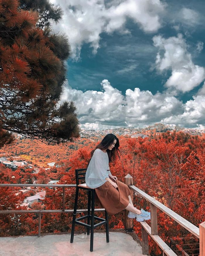 Cách trung tâm Đà Lạt khoảng 20km, rừng lá phong đỏ nằm sâu bên trong hồ Tuyền Lâm. Ảnh: Instagram