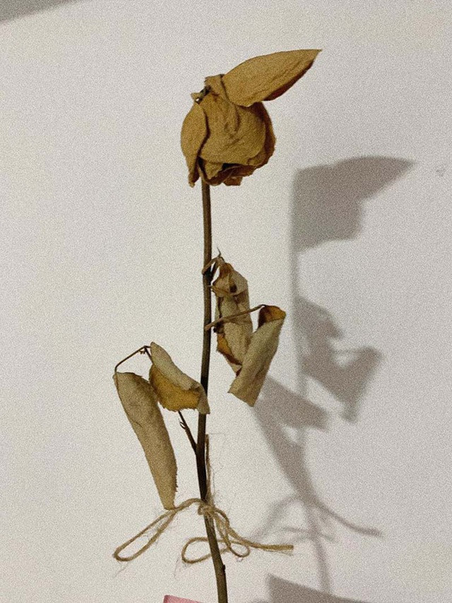 Suốt hơn 4 năm bên nhau, cặp đôi trân trọng từng khoảnh khắc. Thời gian Tuấn Anh đi nghĩa vụ, Ngọc Yến đều đặn mỗi tuần di chuyển xuống Đồng Nai thăm người yêu.