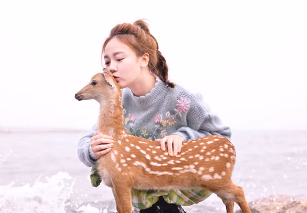 Với thành tích nổi trội, ngoại hình xinh xắn, Đồ Băng nhanh chóng nhận được sự chú ý và trở thành hoa khôi của Học viện truyền thông Chiết Giang.