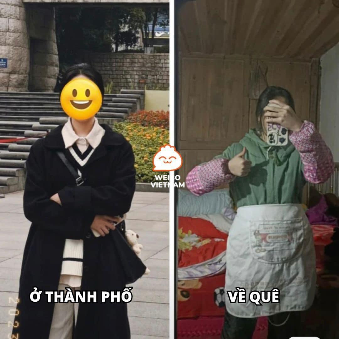 Vậy mới nói, hoàn cảnh sinh mỹ nữ.