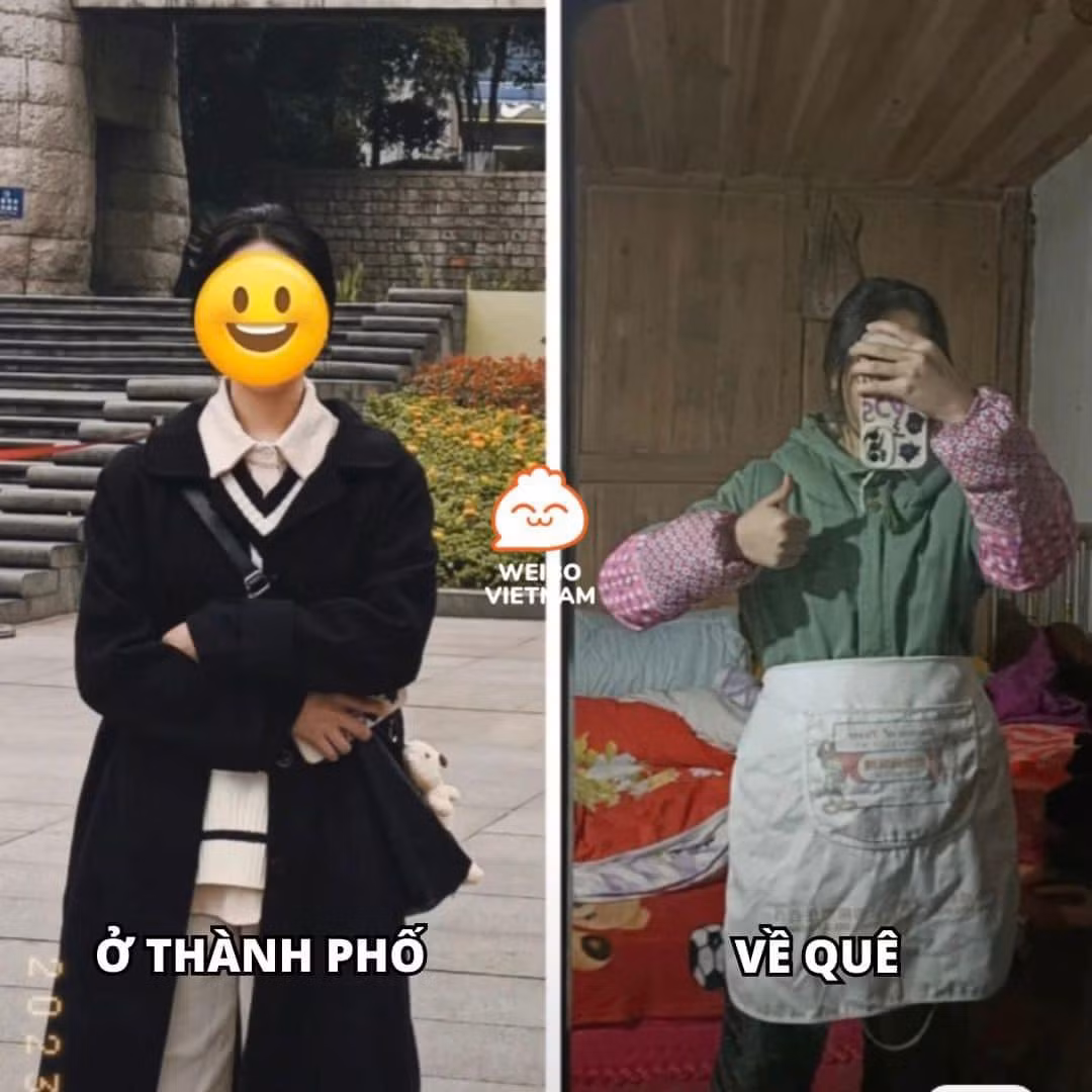 Vậy mới nói, hoàn cảnh sinh mỹ nữ.