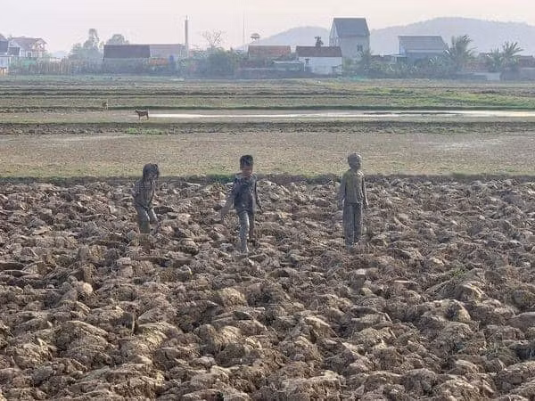 Nghỉ hè nên bố mẹ cho con cái về nhà ông bà ngoại chơi. Vì cùng trạc tuổi nên cả 3 chơi nhau rất hợp. Vậy nên bình thường cả 3 đứa chơi gì ông bà đều không can thiệp. Tuy nhiên chờ cháu đến giờ cơm rồi vẫn chưa thấy đứa nào về, bà ngoại tất tả đi tìm thì bắt gặp cảnh này đây.