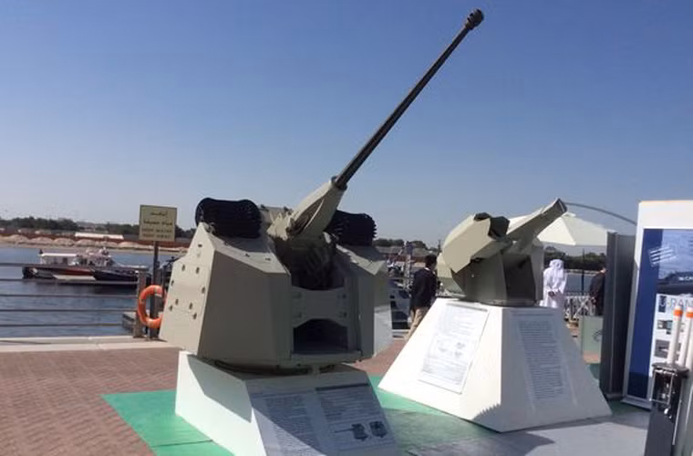 Hai pháo tự động 30mm điều khiển từ xa để đánh chặn tên lửa diệt hạm. Nguồn ảnh: Pinterest