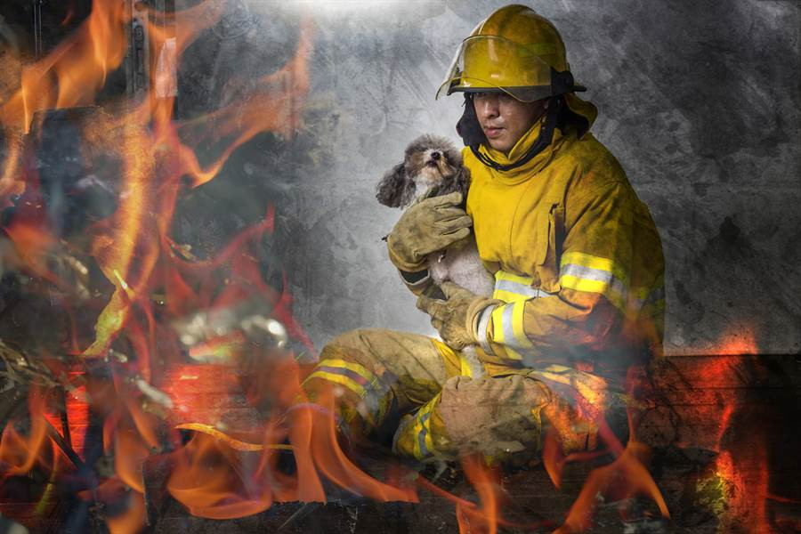 Cho cung thong minh cuu nha chu khoi chet chay ngoan muc