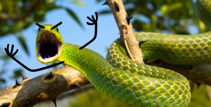 Từ hình ảnh rùng rợn, con rắn trở nên siêu đáng yêu khi được thêm vài nét vẽ cực đơn giản. Trông nó như muốn hét lên: "Ai đã đánh cắp con mồi của tôi rồi".