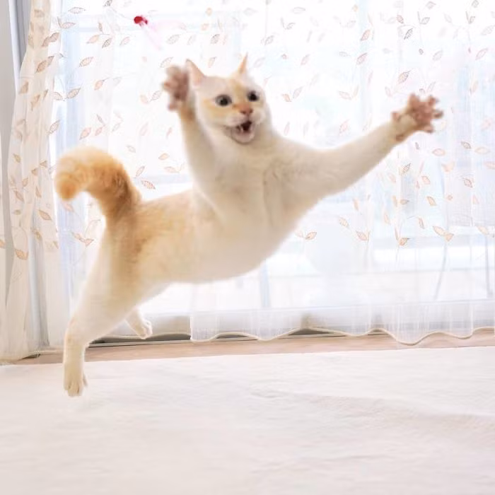 Những màn hành động này của Chaco khiến chú ta như một vũ công chuyên nghiệp, đang nhảy múa quên hết mọi sự trên đời.