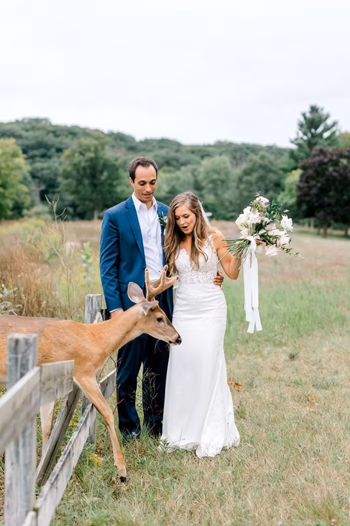Ngay sau khi vượt qua hàng rào, con hươu không ngần ngại tiến thẳng tới cô dâu Morgan và đòi bó hoa để ăn.
