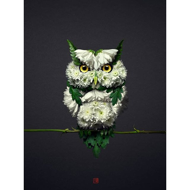 Theo Raku, những ý tưởng nghệ thuật đến với anh rất tự nhiên, ít khi được sắp đặt sẵn.