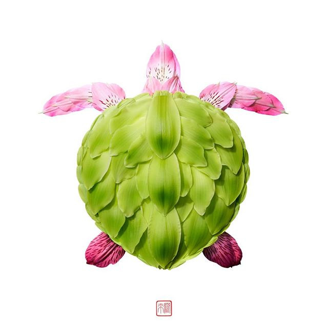 Raku tiết lộ rằng, anh luôn luôn tò mò về thiên nhiên, muốn khám phá đến tận cùng những điều thú vị.