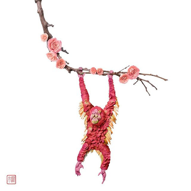 Chính sự tò mò đó đã khiến Raku nhìn mọi thứ khác đi một chút so với đa số mọi người.