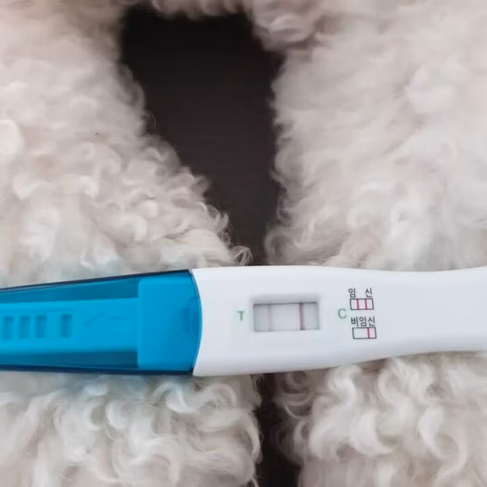 Hóa ra, cô gái đã mang thai, chắc chắn sẽ trở thành nữ chủ nhân của Mỹ Mỹ.