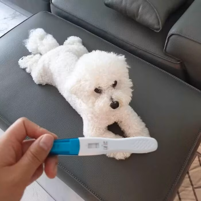 Qua nhiều lần giằng co, cuối cùng cô gái cũng tìm được cách phản đòn.