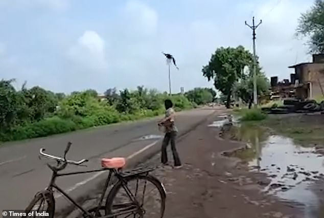 Bi dan qua hieu nham, nguoi dan ong ganh su tra thu moi ngay-Hinh-2