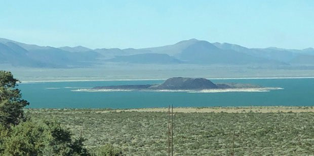 Di khong tuong sinh vat 3 gioi tinh o noi gan nhu khong su song