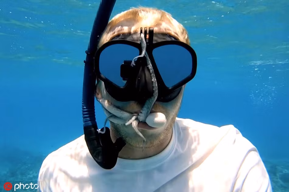 Het hon bach tuoc chui vao mieng tho lan lam nha si-Hinh-3