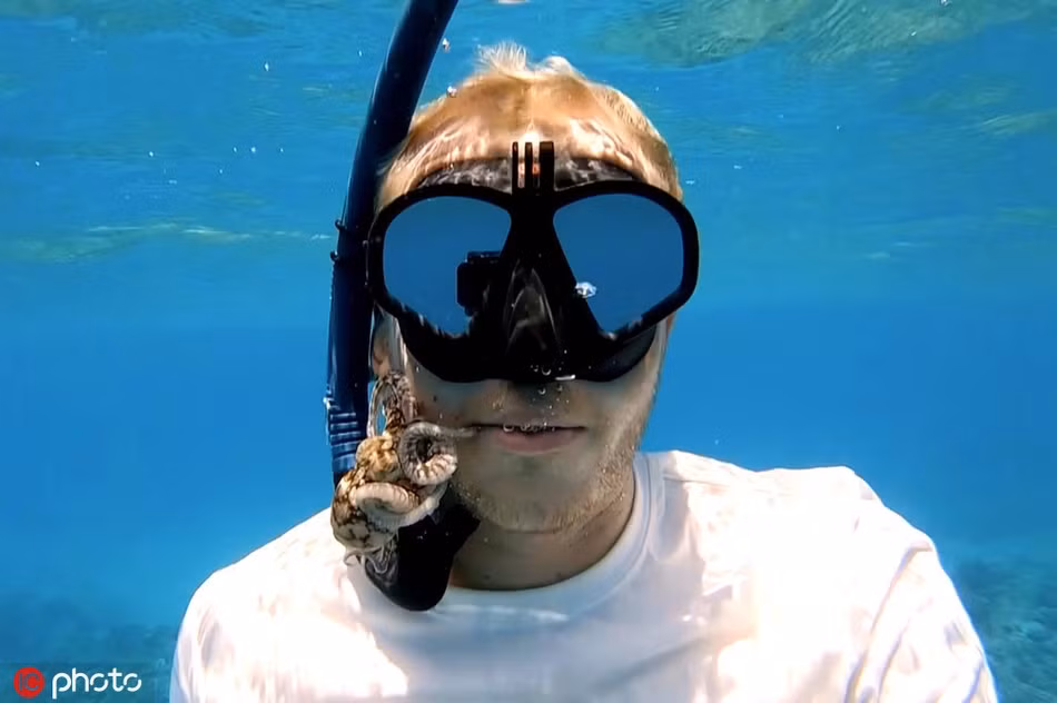 Het hon bach tuoc chui vao mieng tho lan lam nha si-Hinh-2