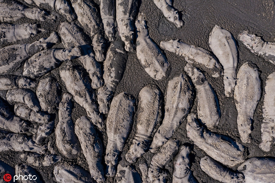 Khoanh khac ron nguoi cua dong vat hoang da ai cung am anh-Hinh-5