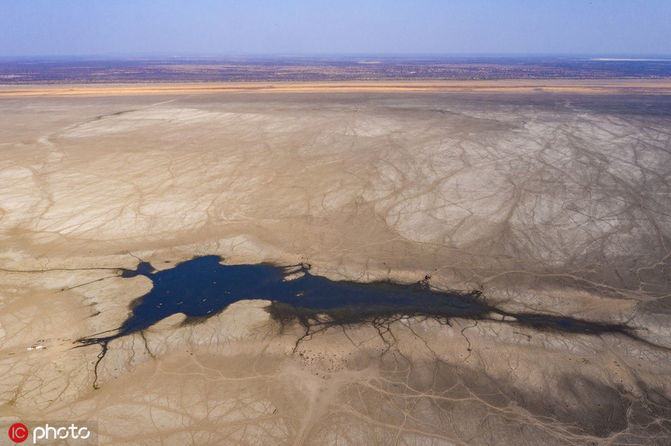 Khoanh khac ron nguoi cua dong vat hoang da ai cung am anh-Hinh-6