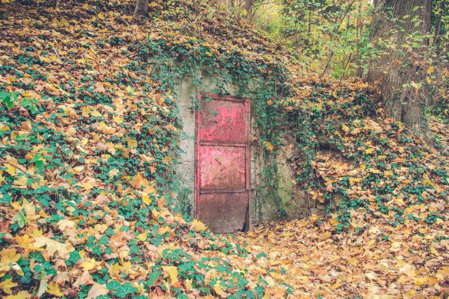 Tim thay canh cua bi an trong rung, kham pha dieu ron toc gay