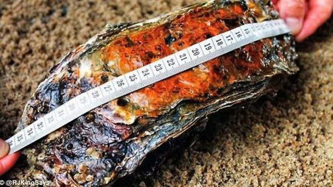 Nó được các chuyên gia đánh giá có thể 15-20 tuổi ở thời điểm được phát hiện.