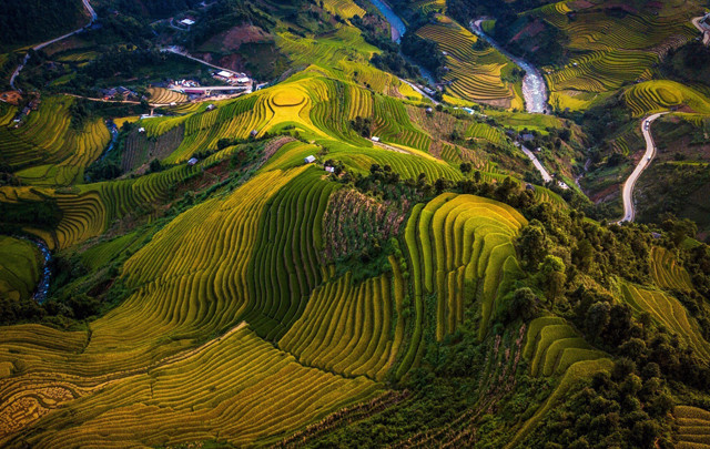 Kham pha danh thang ruong bac thang Mu Cang Chai