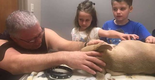 Kinh hai cho trung thanh bi ran doc can chet vi cuu chu