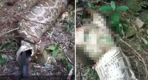 San de cua nong dan, tran khong lo gap ket dang-Hinh-2