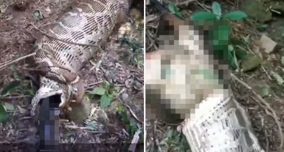 San de cua nong dan, tran khong lo gap ket dang-Hinh-2