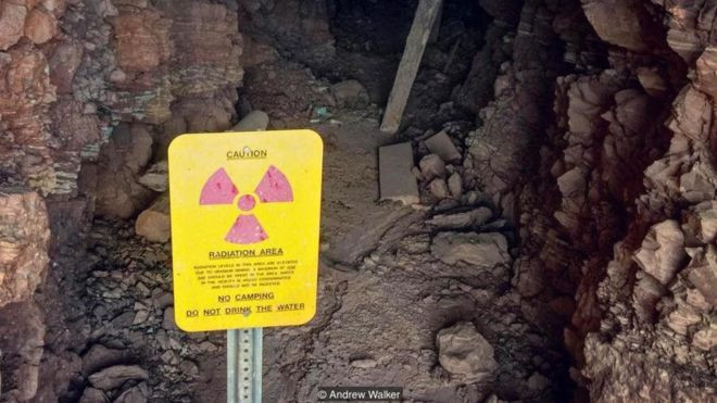 Sung sot nhung san pham chua phong xa ky quai