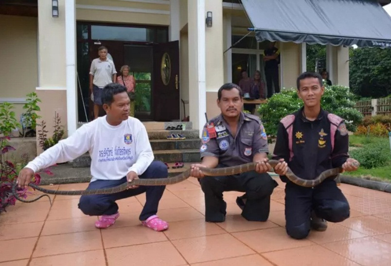 Ngu sofa, nguoi phu nu nghe tieng on, tinh phat hien kinh di...-Hinh-2