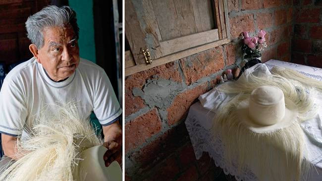 Những chiếc nón Panama được làm cực kỳ cầu kỳ từ lá của cây toquilla