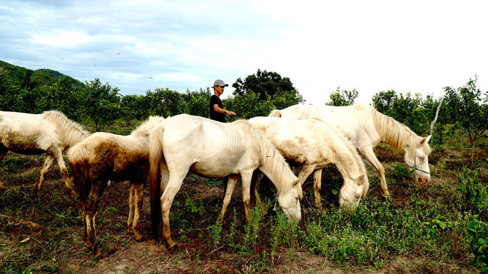 Dep tuyet dan ngua bach giua dong song Ba