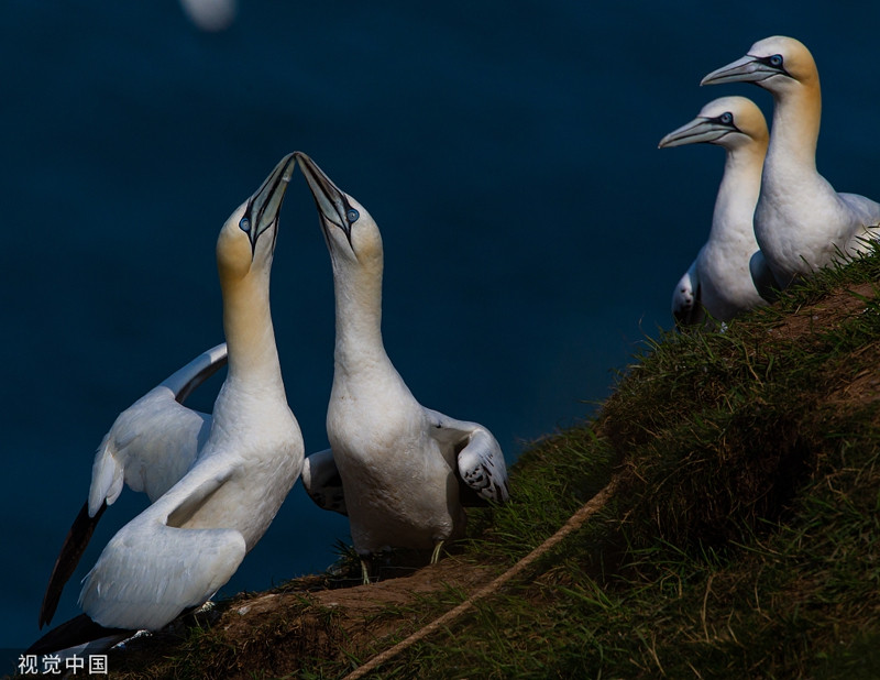 O bien phuong Bac tan tinh nhau cong khai khien nguoi phat ghen-Hinh-3