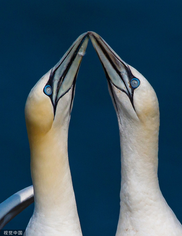 O bien phuong Bac tan tinh nhau cong khai khien nguoi phat ghen