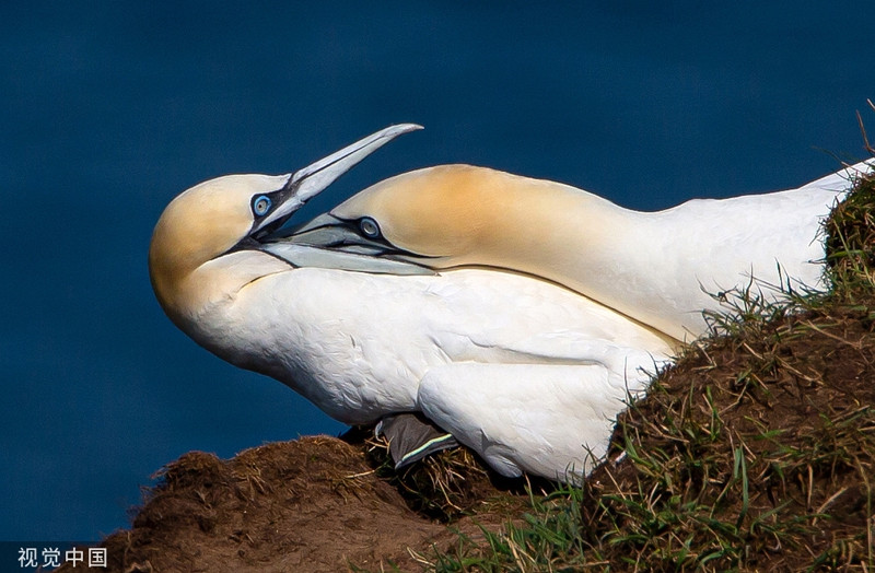O bien phuong Bac tan tinh nhau cong khai khien nguoi phat ghen-Hinh-2