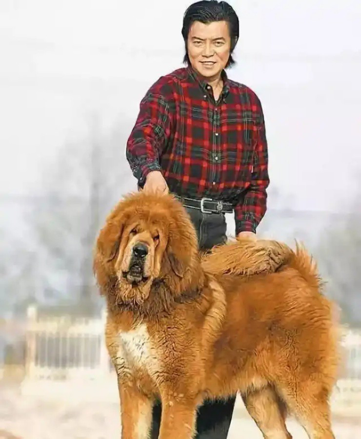 Cẩn thận khi mua 4 thứ tụt giá nhất những năm qua - Hình 3 Can than khi mua 4 thu tut gia nhat nhung nam qua-Hinh-3