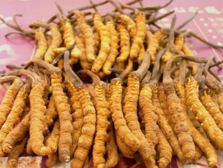 Cẩn thận khi mua 4 thứ tụt giá nhất những năm qua - Hình 2 Can than khi mua 4 thu tut gia nhat nhung nam qua-Hinh-2