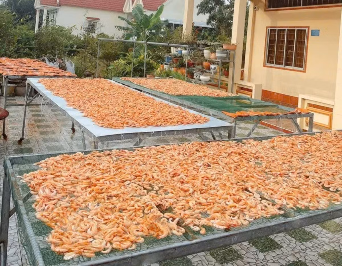 Nhieu thuc pham o mien Tay tang gia dot bien dip Tet