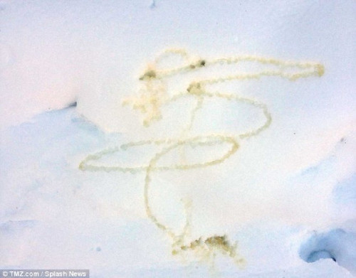  Dùng nước tiểu đánh dấu trên tuyết. Trong một lần đi chơi tuyết, Justin Bieber đã đi tiểu trong đống tuyết và dùng nước tiểu để đánh dấu.