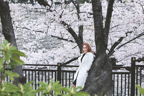 Hiện tại, Mỹ Tâm cùng với ê-kíp đang tất bật chuẩn bị cho đêm nhạc đặc biệt sẽ được diễn ra tại Hà Nội vào ngày 20/10 sắp tới. 