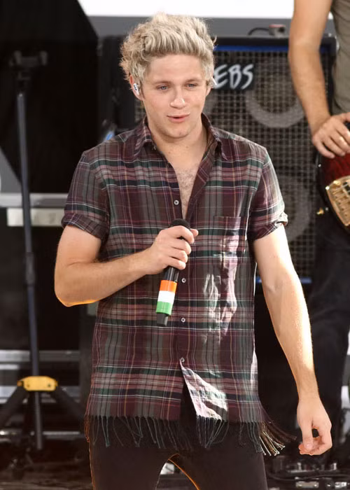 Justin Bieber và Niall Horan (ảnh) dường như là những người anh em tốt của nhau vào năm 2012. Tuy nhiên, sau đó, Selena Gomez - mối tình đầu tiên của Justin, lại đem lòng yêu Niall.