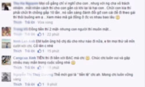 Ho Ngoc Ha im lang vo dai gia tiep tuc mia mai-Hinh-3