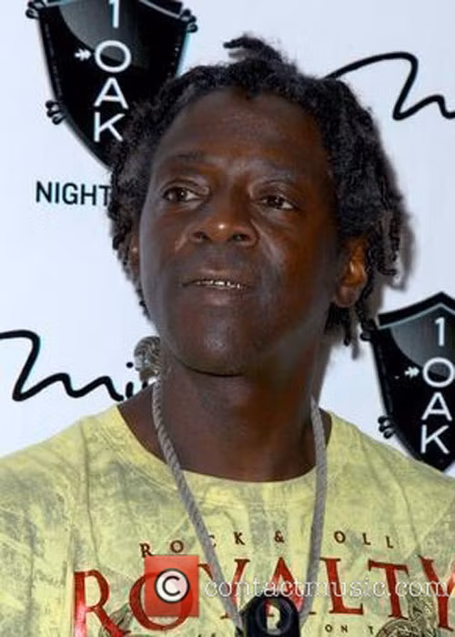 Ngay từ lúc còn nhỏ, Flav là một đứa trẻ thông minh. Ông tự học cách chơi đàn piano, trống và guitar. Tuy nhiên, Flav luôn gặp rắc rối. Ông trộm cắp vặt và từng vô tình đốt nhà của mình do nghịch bật lửa. Ngoài ra, Flav bỏ học từ năm lớp 11 và bị ngồi tù trong thời gian ngắn vì tội trộm cắp.