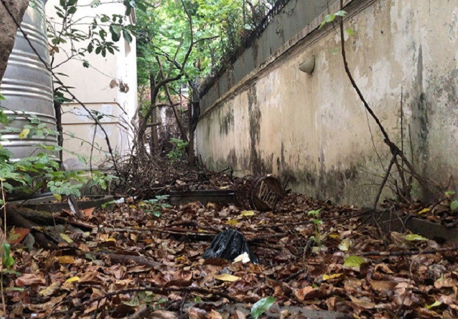 Những lớp lá rụng xếp dầy trên mặt sân. Ảnh: VOV. 