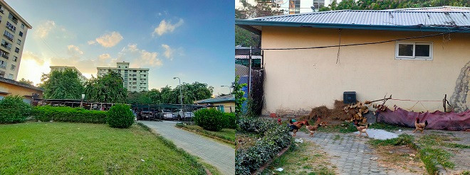 Khu vực vườn hoa biến thành bãi trông giữ xe trái phép, nơi nuôi thả gia cầm. 