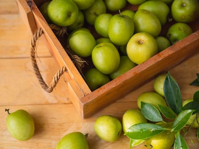 Loi ich suc khoe bat ngo cua tao ta